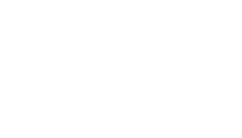 Business Integration Solutions LTD